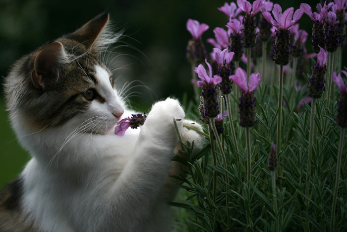 org:/Customer Services/S15/SCcomp3.jpg